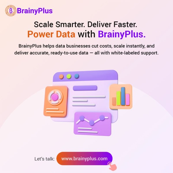 BrainyPlus – The Enhancer of Your Data Services Business