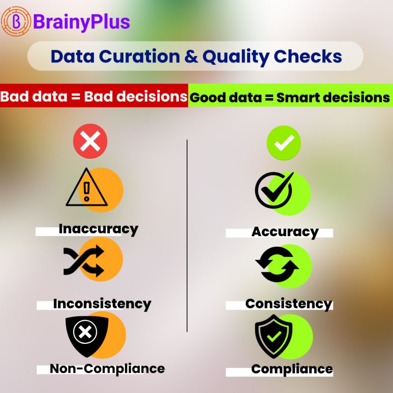 Data Curation & Quality Checks — Because Bad Data = Bad Decisions