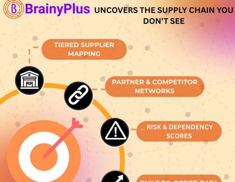 Supply Chain Relationships Data: The Visibility Advantage Modern Businesses Need- and How BrainyPlus Delivers It