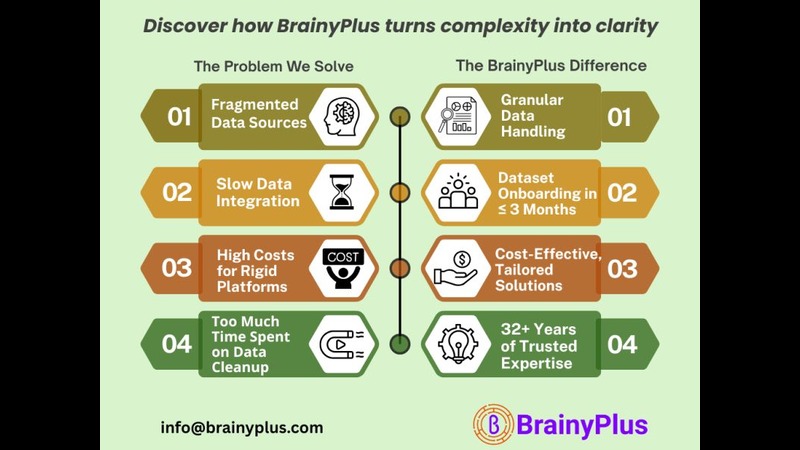 Why BrainyPlus: Turning Data Complexity into Business Clarity