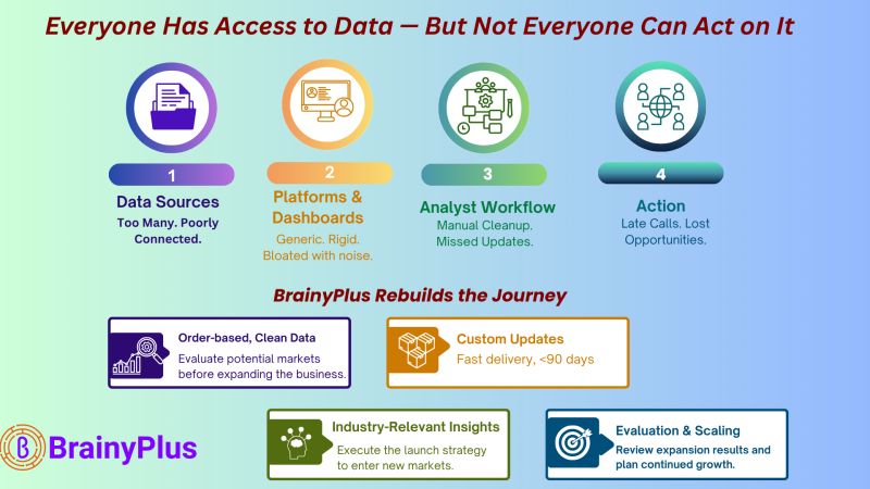 Why Public Company Data Fails Decision-Makers-and How BrainyPlus Is Changing That