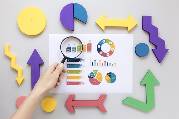Unlocking Public Market Insights: Global Company Profiles by BrainyPlus