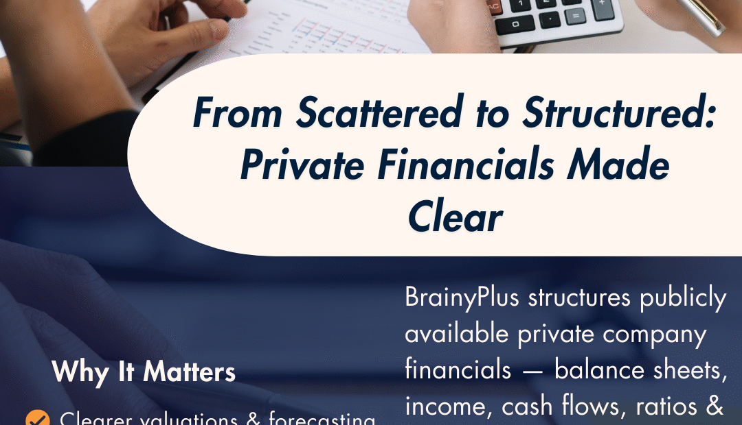 From Scattered to Structured: Making Private Company Financials Work for You – with BrainyPlus