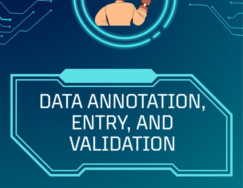 Data Annotation, Entry, and Validation: The Offshore Advantage Explained