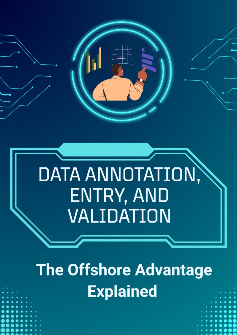 Data Annotation, Entry, and Validation: The Offshore Advantage Explained