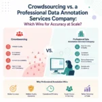 Crowdsourcing Vs Professional Data Annotation