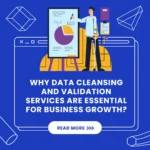 Data Cleansing and Validation Services