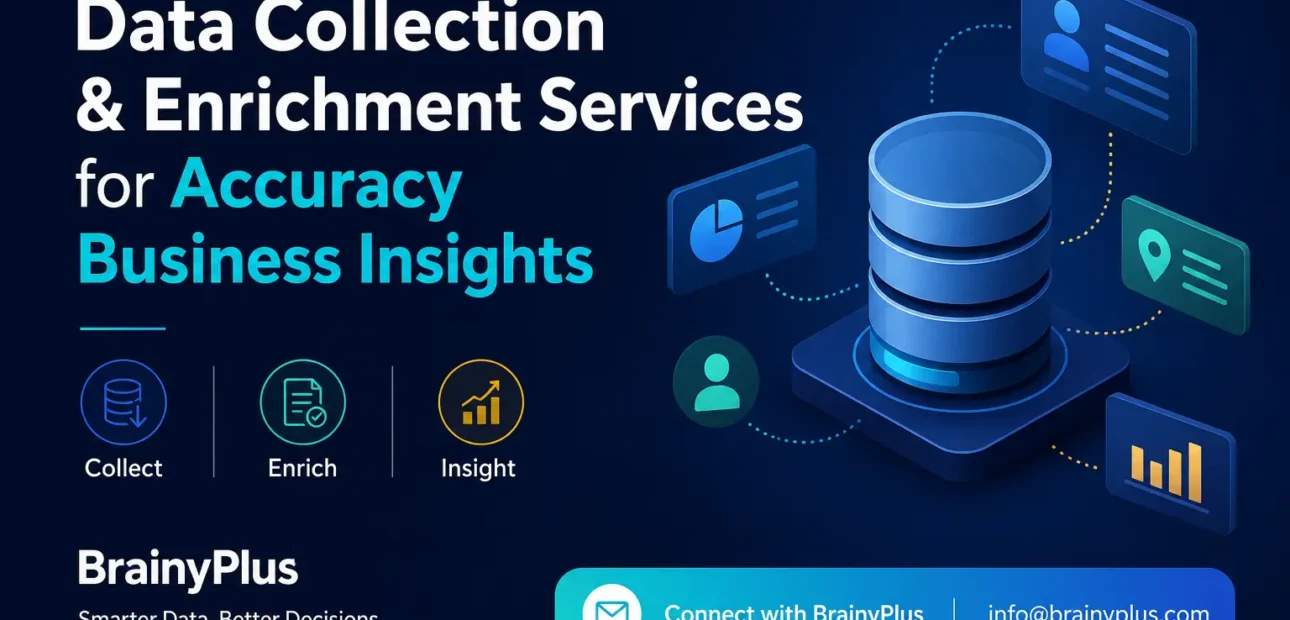 Data Collection and Enrichment Services for Accurate Business Insights